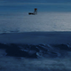 Illustration for article titled Shocking reports from the Antarctic (Massive Update)